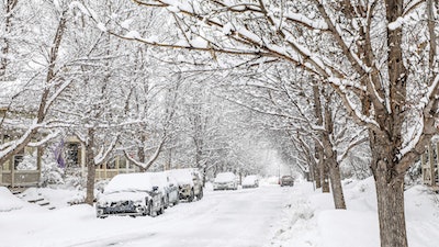 Snow coats the trees and cars in Edwards, Colo., Wednesday, March 22, 2023. The new snow was wet and heavy.